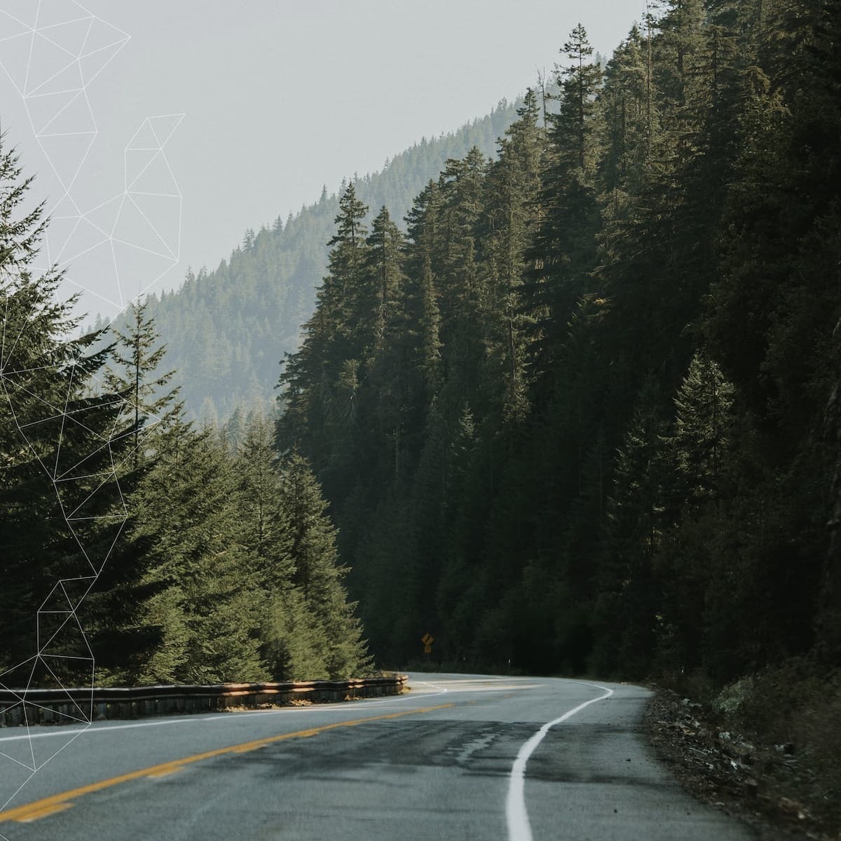 ivana-cajina-83Wwt2qT_JY-unsplash_OS-fractal_V2