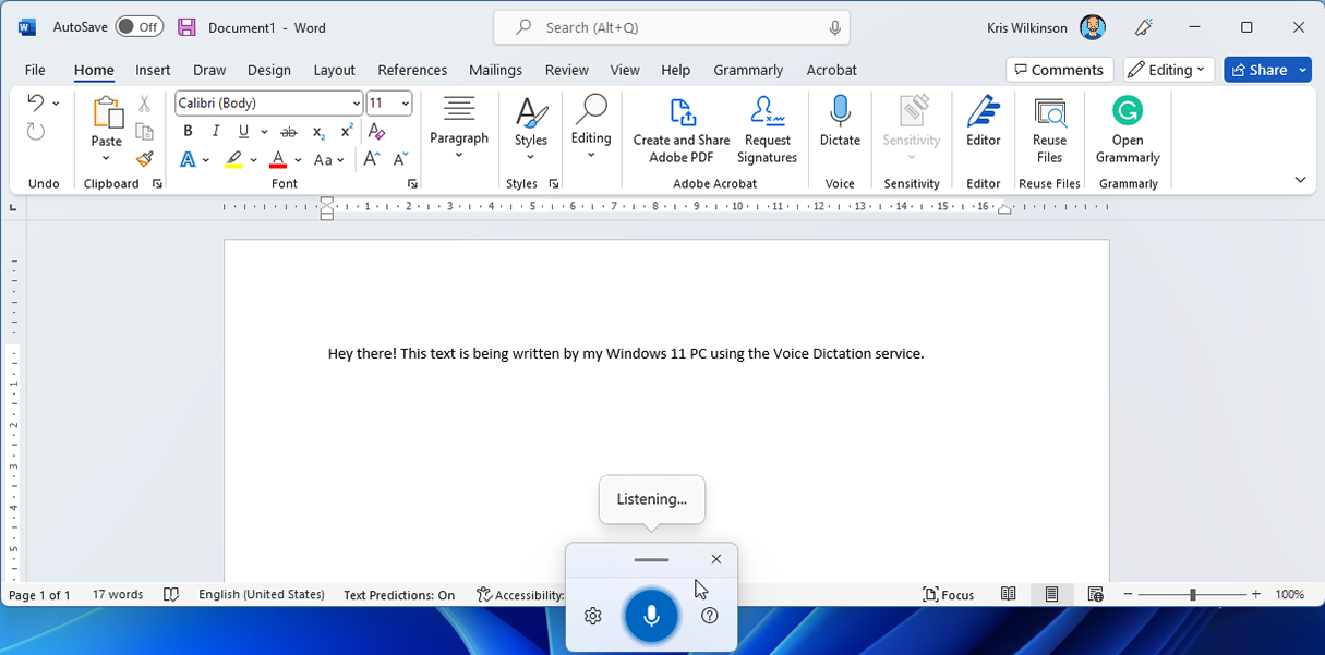 Windows 11 Voice Dictation
